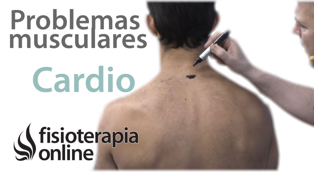 palpitaciones en el oido izquierdo causas